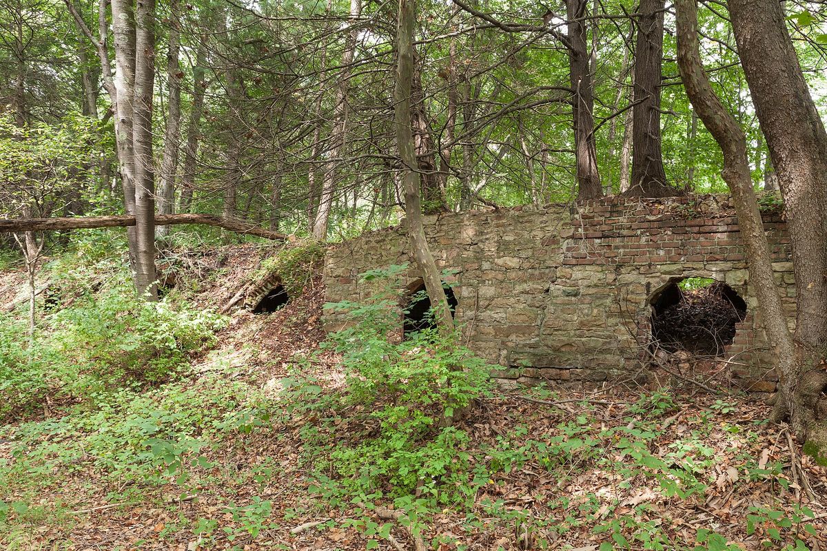 Minersville Coke Ovens, looking west down a line of the ruins of coke ovens